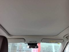 GAC Aion GS4 MAX 1.5T Premier Edition - ფოტო 14