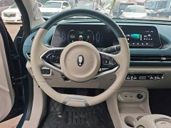ORA Good Cat 401km Standard Range Luxury LFP - ფოტო 11