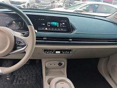 ORA Good Cat 401km Standard Range Luxury LFP - ფოტო 13
