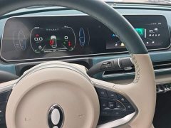 ORA Good Cat 401km Standard Range Luxury LFP - ფოტო 14