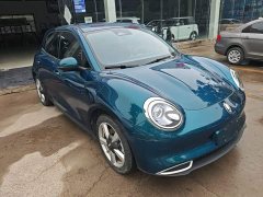 ORA Good Cat 401km Standard Range Luxury LFP - ფოტო 4