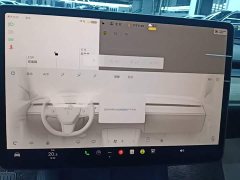 Tesla Model Y 2022 Facelift Long Range All-Wheel Drive - ფოტო 13