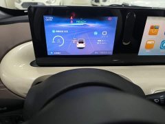 Wuling Binguo 203km Comfort Edition - ფოტო 12