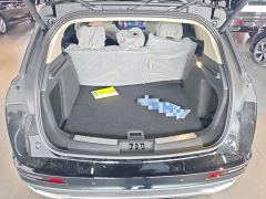 Lincoln Adventurer 2.0T Two-Wheel Drive Premium Edition - ფოტო 15