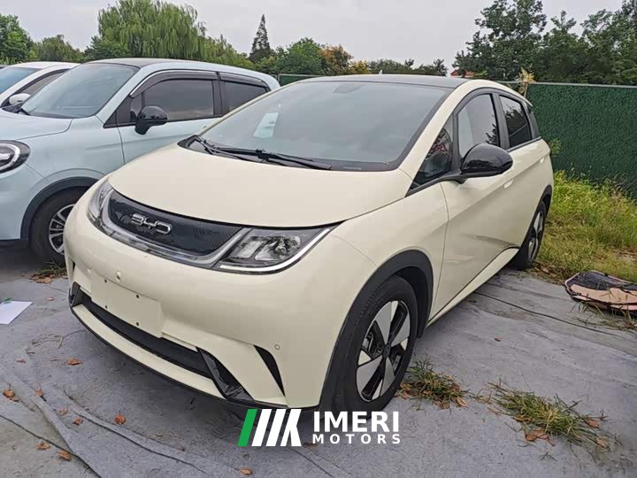 BYD Dolphin 420km Fashion Edition - ავტომობილი ჩინეთიდან