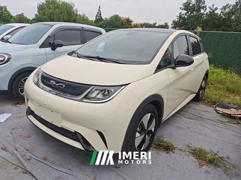2023 BYD Dolphin 420km Fashion Edition - ავტომობილი ჩინეთიდან