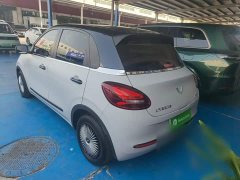 Wuling Binguo 203km Light Enjoy Edition - ფოტო 5