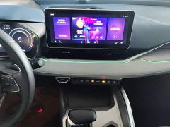 Geely Xingrui 2021 Facelift 2.0T Diesel Premium - ფოტო 13
