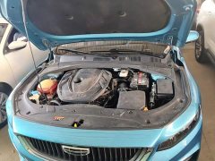 Geely Xingrui 2021 Facelift 2.0T Diesel Premium - ფოტო 20