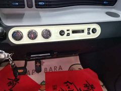 Wuling Hongguang MINIEV 2022 Zizai Edition LFP Battery - ფოტო 13
