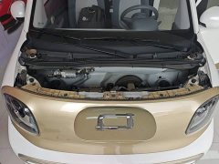 FAW Besturn Xiaoma 222km Lightning Edition - ფოტო 20