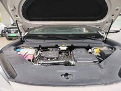 BYD Haima Sealion 06 DM-i 205 Pilot Pro - ფოტო 16