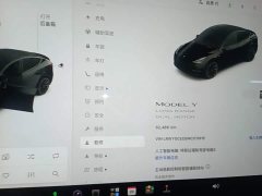 Tesla Model Y Long Range All-Wheel Drive - ფოტო 12