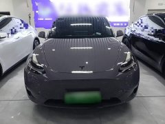 Tesla Model Y Long Range All-Wheel Drive - ფოტო 3
