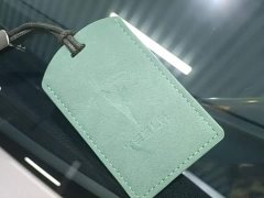 Tesla Model Y Long Range All-Wheel Drive - ფოტო 9