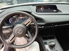 Mazda CX-30 EV 2021 Pure Electric Comfort Edition - ფოტო 10