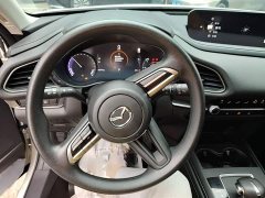 Mazda CX-30 EV 2021 Pure Electric Comfort Edition - ფოტო 11