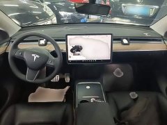 Tesla Model Y Long Range All-Wheel Drive - ფოტო 6