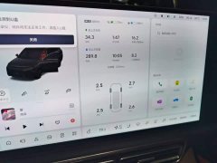 Li Auto L9 2022 Max - ფოტო 12