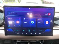 BYD Han 2021 EV Standard Range Luxury - ფოტო 13