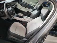 Ford Edge L 2.0T EcoBoost FWD Seven-Seat Luxury - ფოტო 15