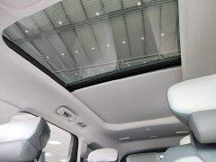 Ford Edge L 2.0T EcoBoost FWD Seven-Seat Luxury - ფოტო 18