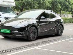 Tesla Model Y Standard Range RWD - ფოტო 2