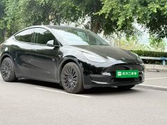 Tesla Model Y Standard Range RWD - ფოტო 4