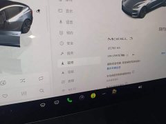 Tesla Model 3 Rear-Wheel Drive - ფოტო 12