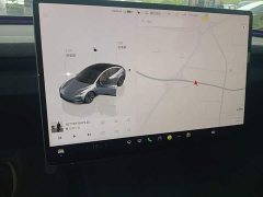 Tesla Model 3 Rear-Wheel Drive - ფოტო 13