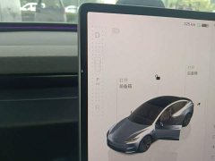 Tesla Model 3 Rear-Wheel Drive - ფოტო 14