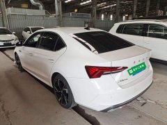 Skoda Octavia PRO TSI280 DSG Luxury - ფოტო 5