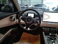 BYD Yuan Plus Glory Edition 430KM Transcend - ფოტო 11