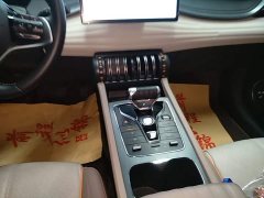 BYD Yuan Plus Glory Edition 430KM Transcend - ფოტო 14