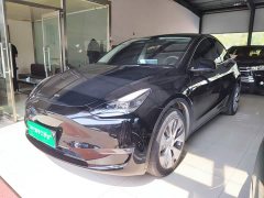 Tesla Model Y Standard Range RWD - ფოტო 2