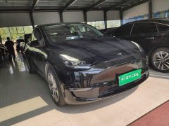 Tesla Model Y Standard Range RWD - ფოტო 4