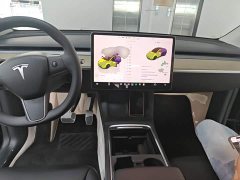 Tesla Model Y 2022 Facelift Rear-Wheel Drive - ფოტო 10