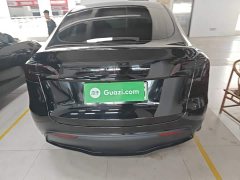Tesla Model Y 2022 Facelift Rear-Wheel Drive - ფოტო 6