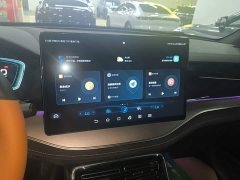 BYD Tang New Energy 2021 DM-i 112KM Premium Edition - ფოტო 13