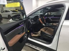 BYD Tang New Energy 2021 DM-i 112KM Premium Edition - ფოტო 16