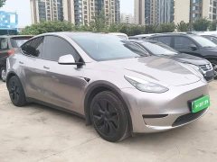 Tesla Model Y Rear-Wheel Drive - ფოტო 4
