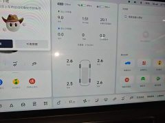 Li Auto L9 2022 Max - ფოტო 12