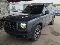 Great Wall Dachshund 1.5T DCT Two-Wheel Drive Border Collie-Wangcai Edition - ფოტო 1