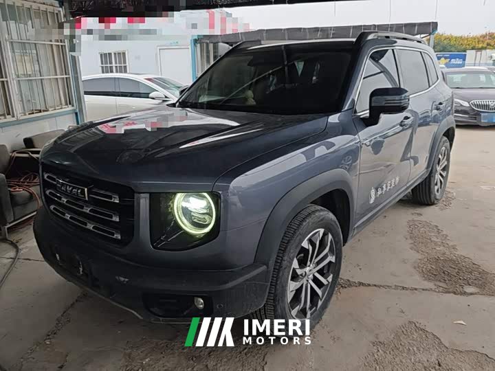 Great Wall Dachshund 1.5T DCT Two-Wheel Drive Border Collie-Wangcai Edition