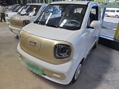 FAW Besturn Xiaoma 222km Dynamic Edition - ფოტო 1
