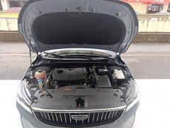 Geely Emgrand 4th Generation Champion Edition 1.5L CVT Luxury - ფოტო 20