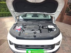 Geely ICON 2026 Chocolate 1.5TD Pure Elegance Edition - ფოტო 20
