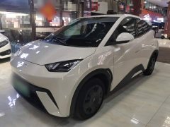 BYD Seagull Glory Edition 305km Vitality Version - ფოტო 1