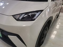 BYD Seagull Glory Edition 305km Vitality Version - ფოტო 18