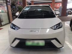 BYD Seagull Glory Edition 305km Vitality Version - ფოტო 3